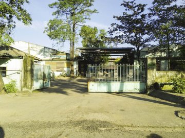 Xí nghiệp chế biến Lâm sản Hoà Nhơn
