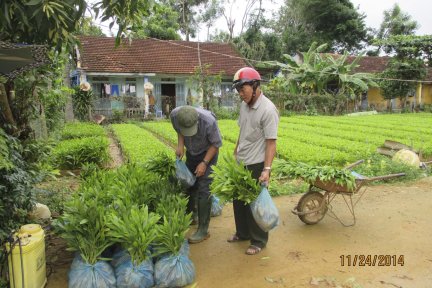 Công tác trồng & chăm sóc rừng